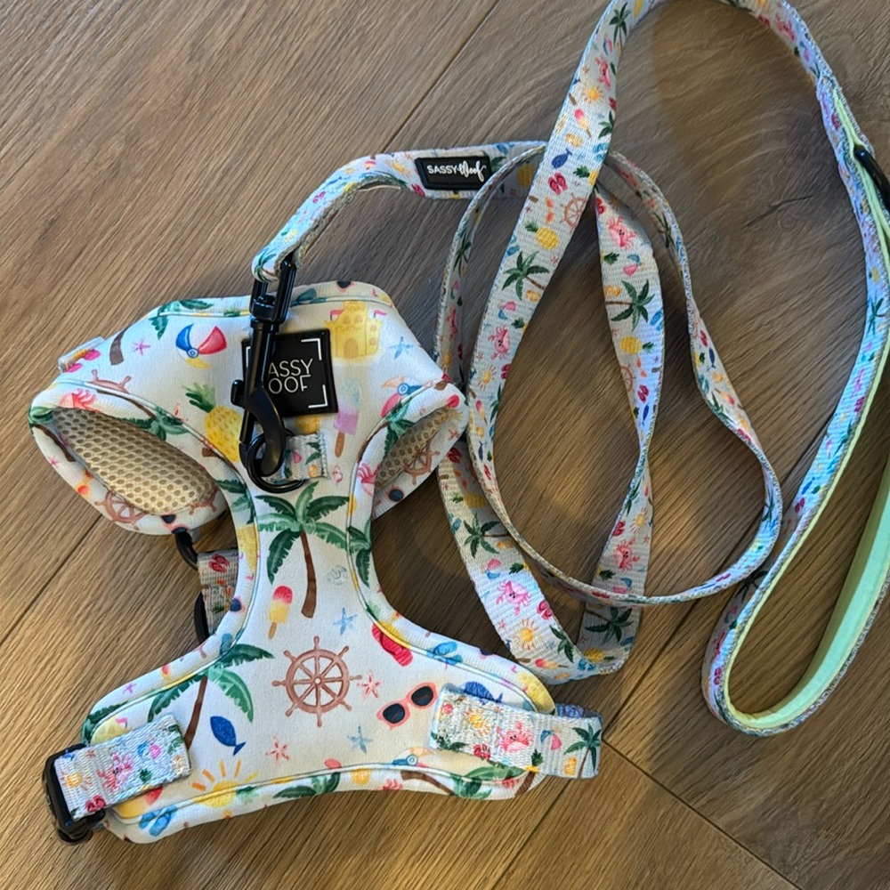 sassy woof  Harness and Leash Set